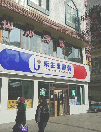 乐生堂医药(大众街店)的图标